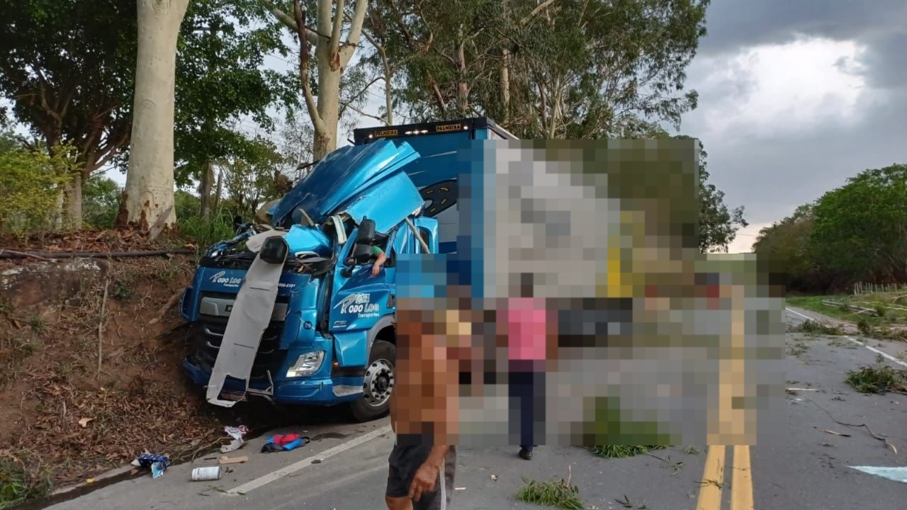 Carreta bate em árvore e interdita a BR-393, em Sapucaia 