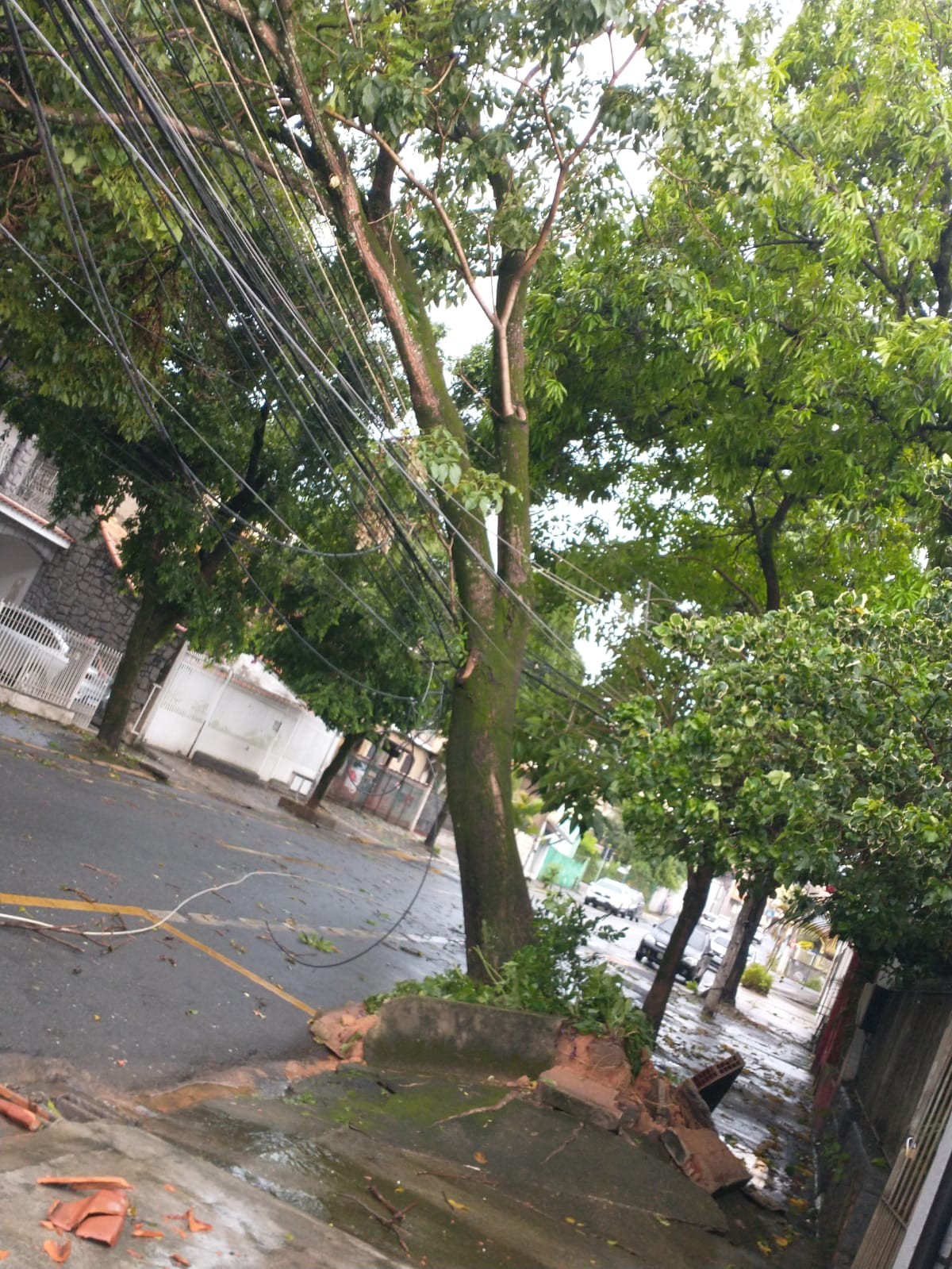 Chuva forte causa queda de árvores, alagamento e interrupção de energia elétrica em Volta Redonda