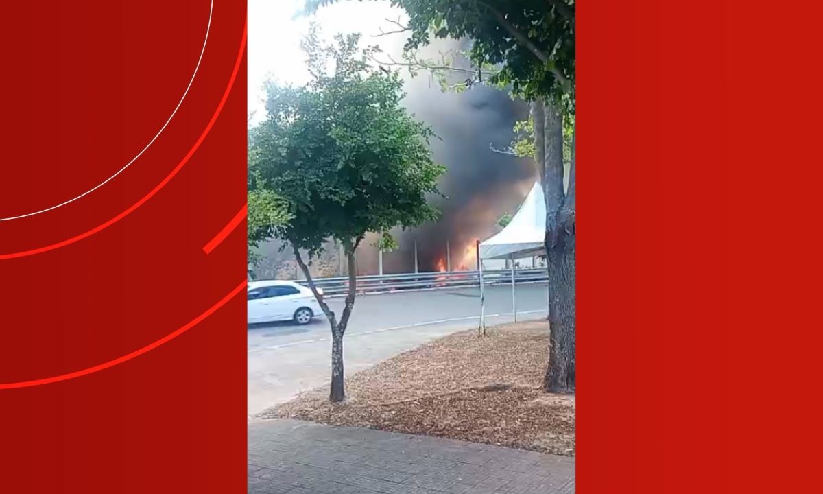 Incêndio atinge área de mata nas proximidades do Porto do São Raimundo, em Manaus; VÍDEO