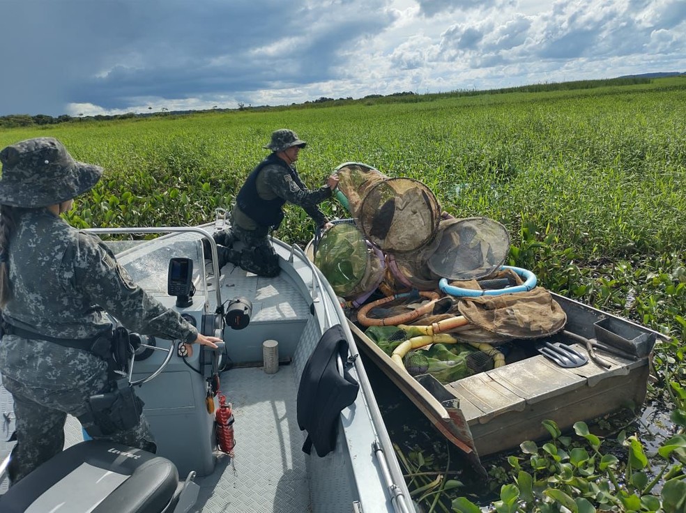Embarcação estava escondida na vegetação, em Caiuá (SP) — Foto: Polícia Ambiental