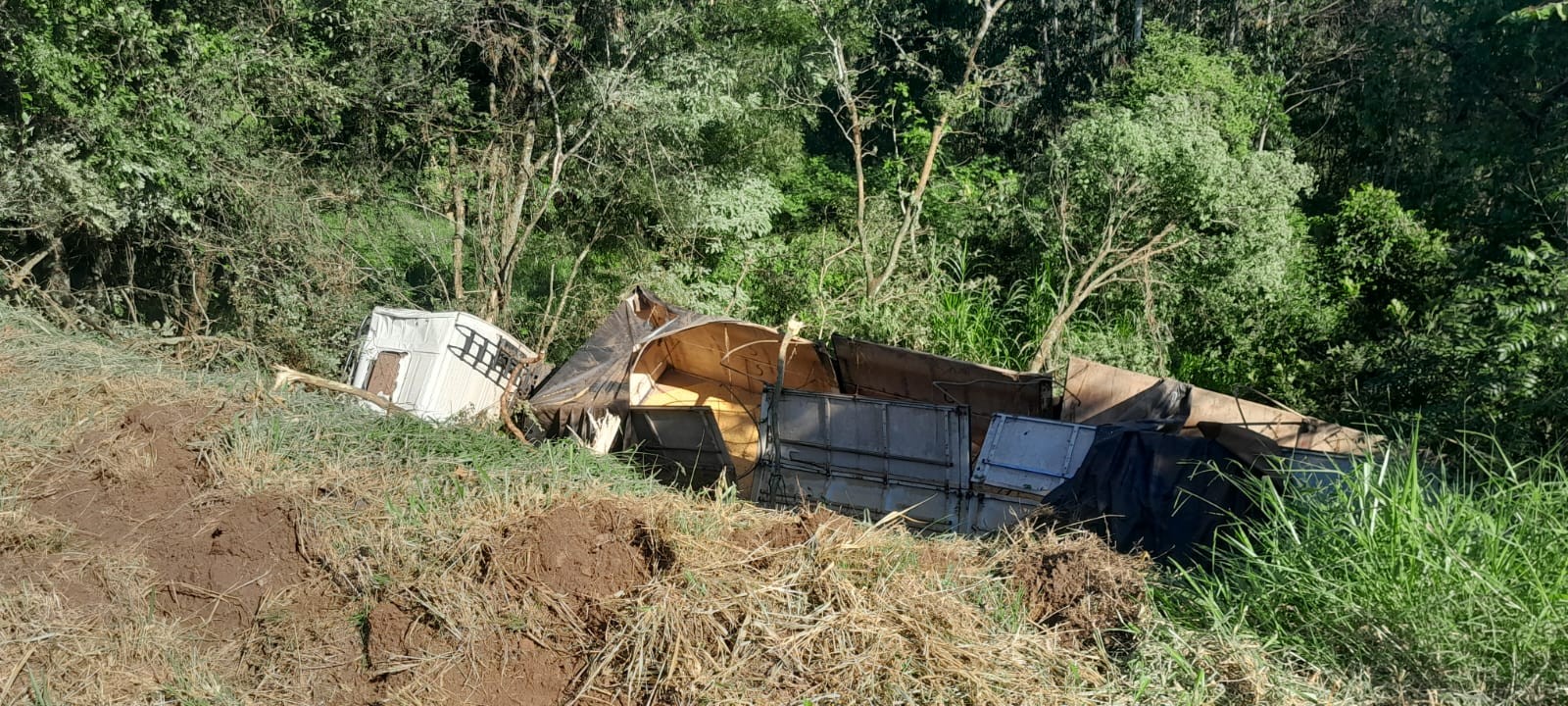 Carreta com 2 ocupantes tomba e fica presa entre árvores a cerca de 8 metros de altura em SC; FOTOS