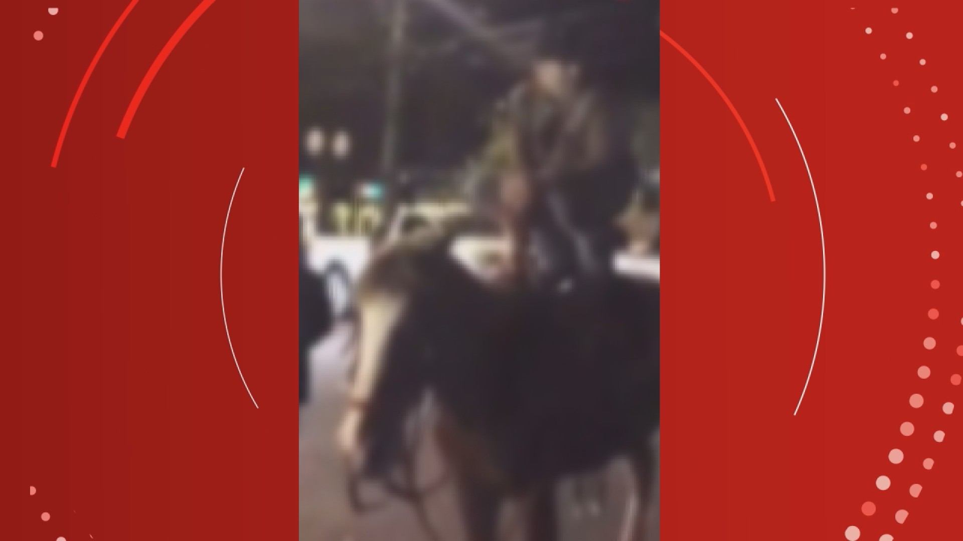 Homem dança em cima de cavalo e é condenado por maus-tratos em Campo Mourão; VÍDEO
