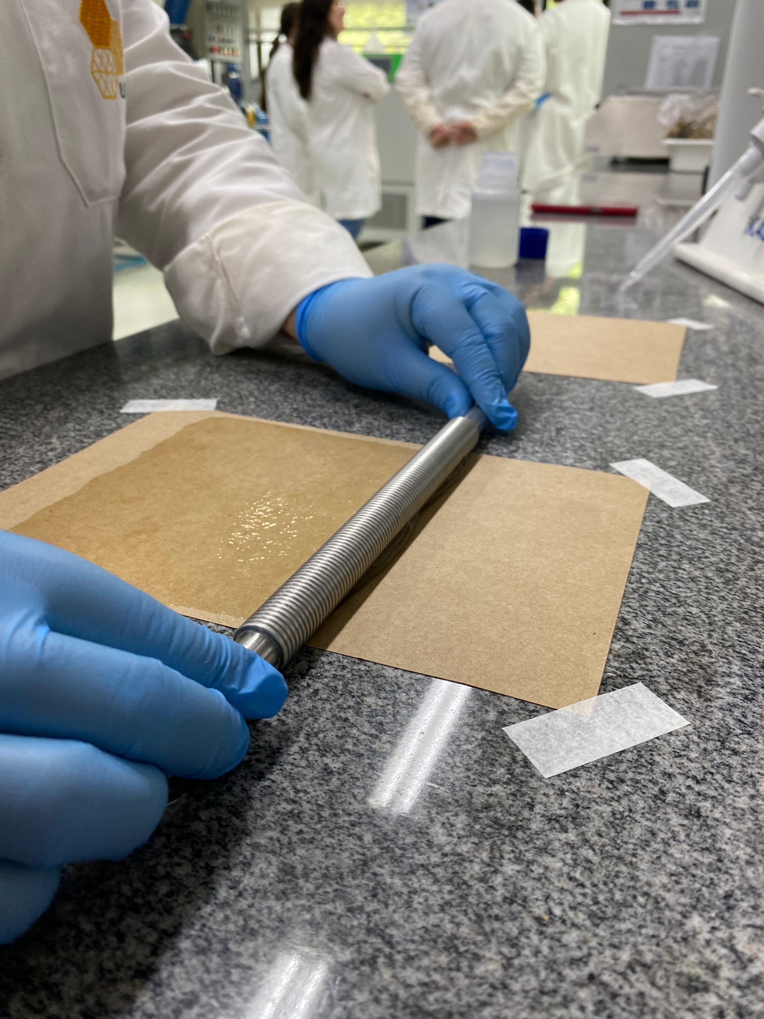 Cientistas brasileiros criam papel vegetal impermeável, antibacteriano e que pode substituir plástico