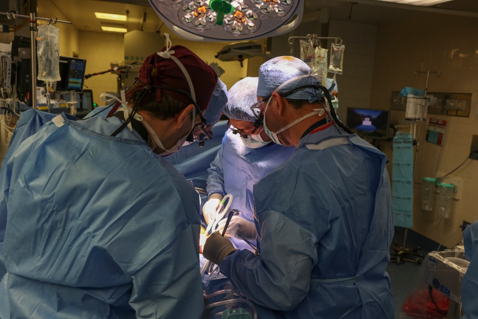 Primeira cirurgia de transplante de um rim de porco em uma pessoa viva — Foto: Divulgação/Massachussets General Hospital
