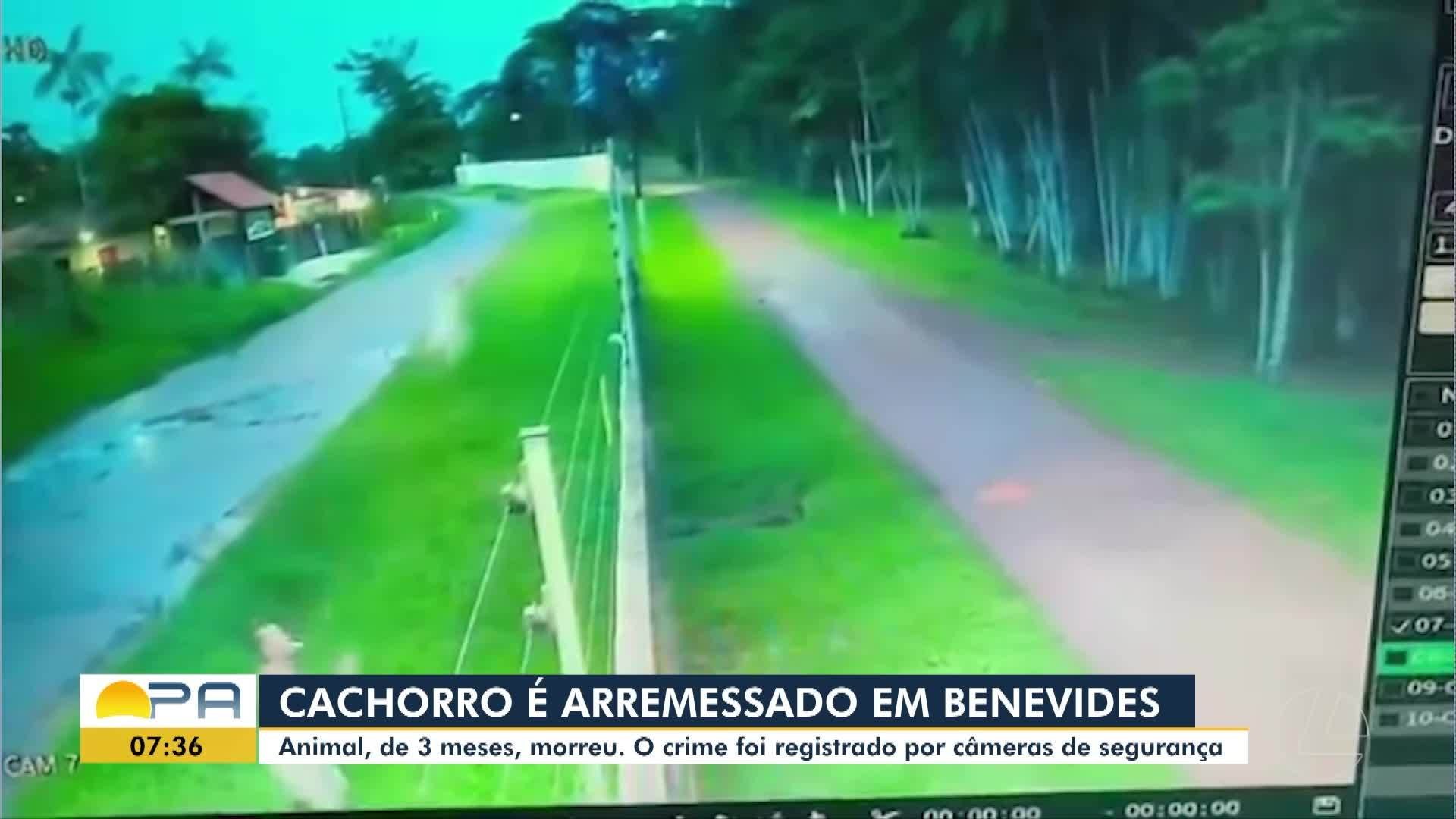 VÍDEOS: BDP de quinta-feira, 29 de janeiro de 2026