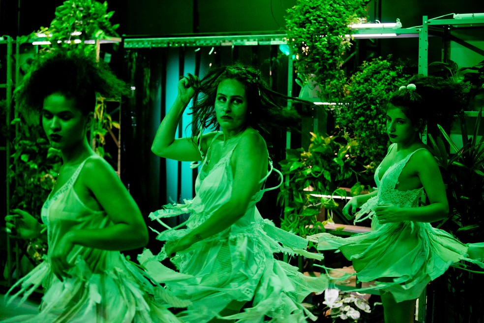 'Estufa - Um falso testemunho' — Foto: Divulgação