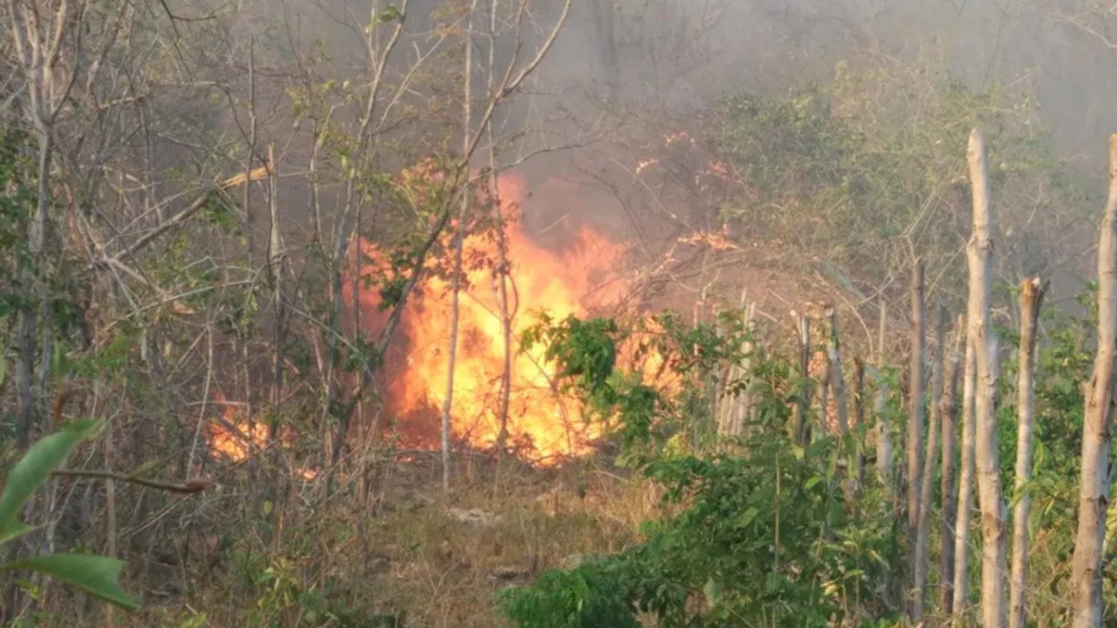 Tempo seco deixa Vale do Paraíba em alerta para incêndios; risco chega ao nível vermelho