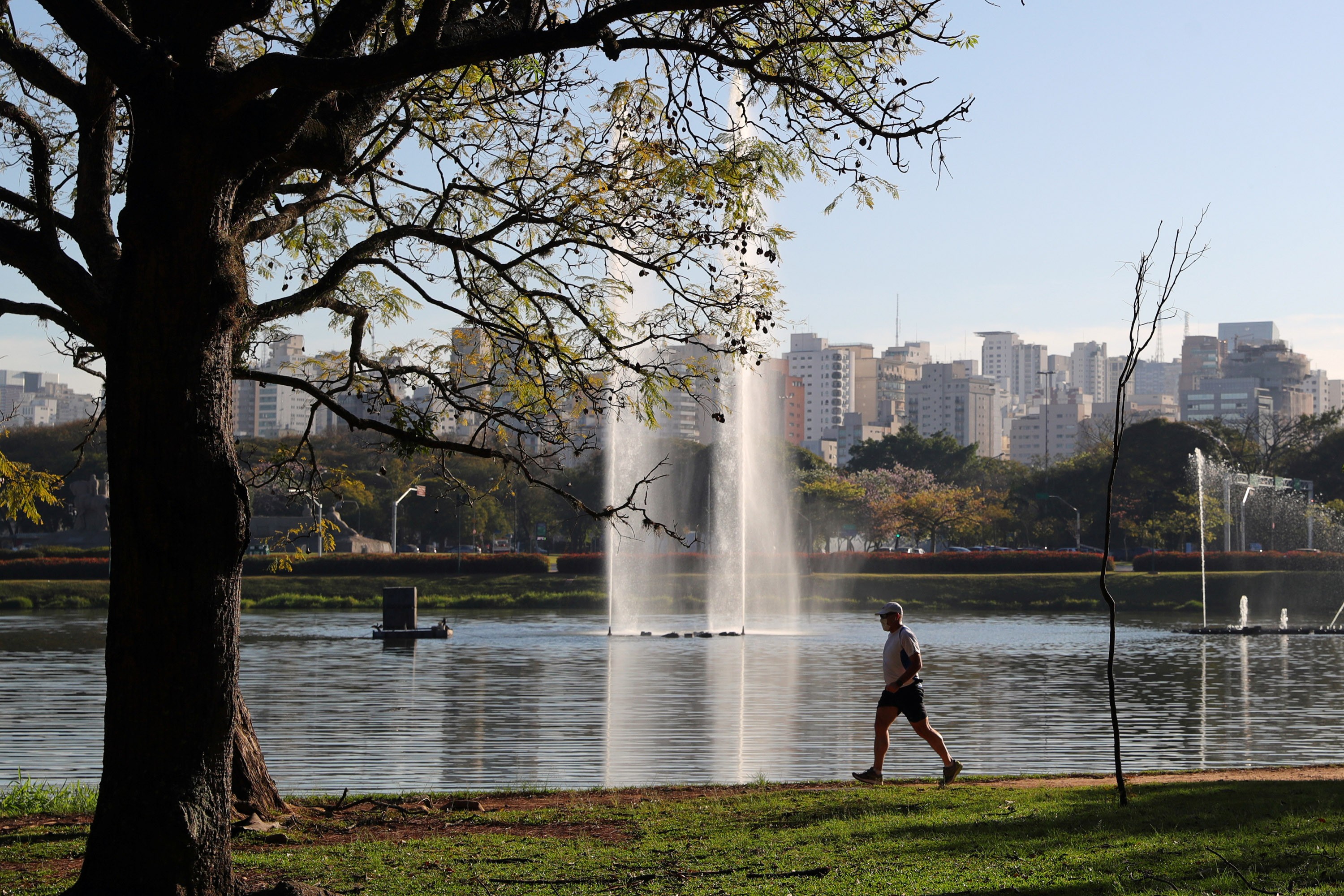 Homem de 42 anos falece após passar mal durante atividade física no Parque Ibirapuera