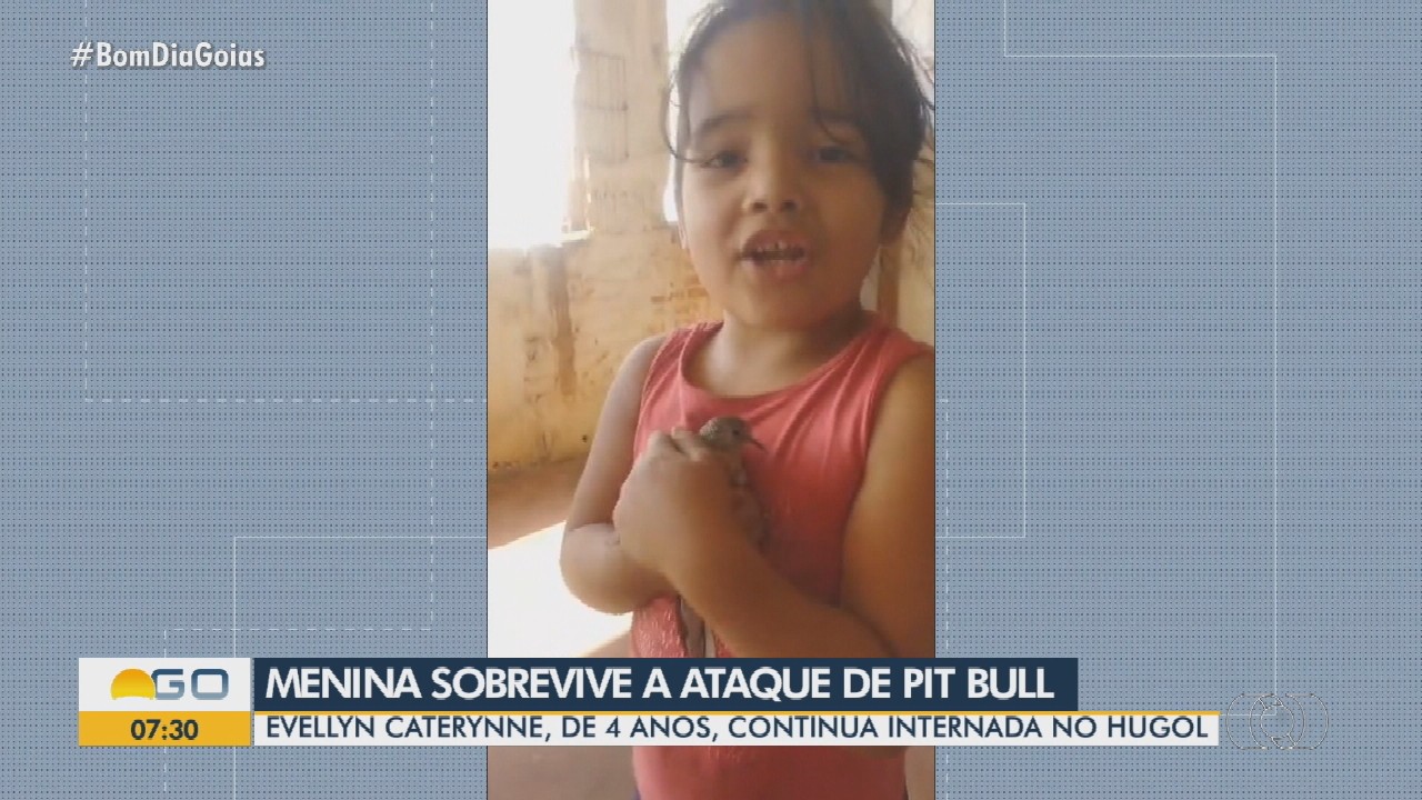 VÍDEOS: Bom Dia Goiás desta quarta-feira, 12 de agosto de 2026 