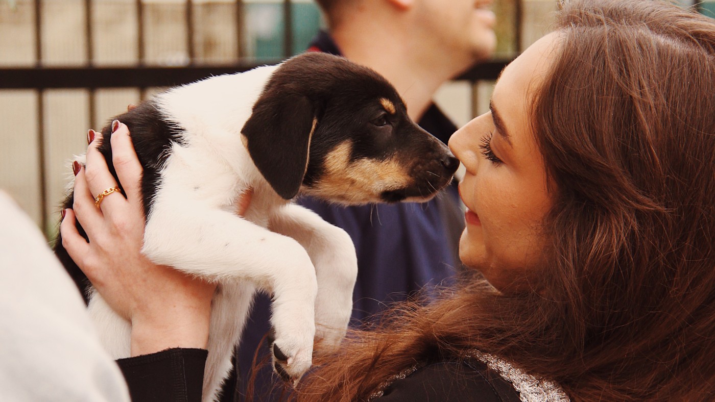 Cães conseguem distinguir emoções no rosto humano, aponta estudo