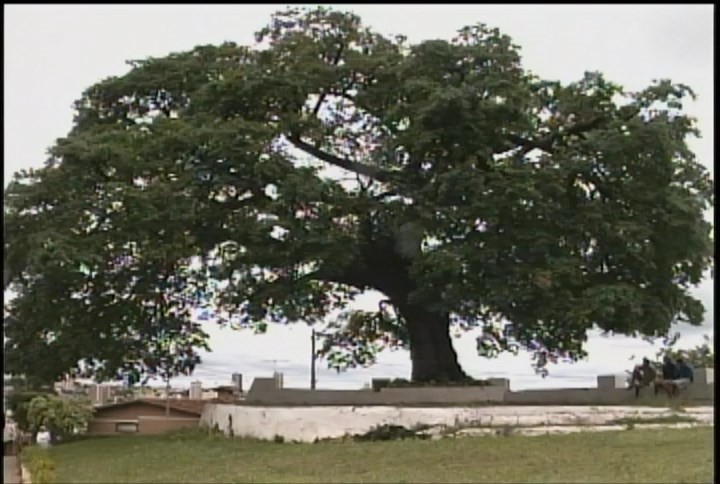 Árvore dos Enforcados, Grande Hotel e prédios históricos: TV Integração apresentou o turismo de Araxá há 21 anos 