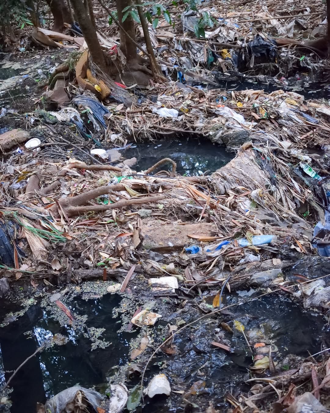 Foto de laudo técnico expõe contaminação no Parque do Sabiá, em Uberlândia — Foto: Amanda Gondim/Ana Lúcia Bonfim