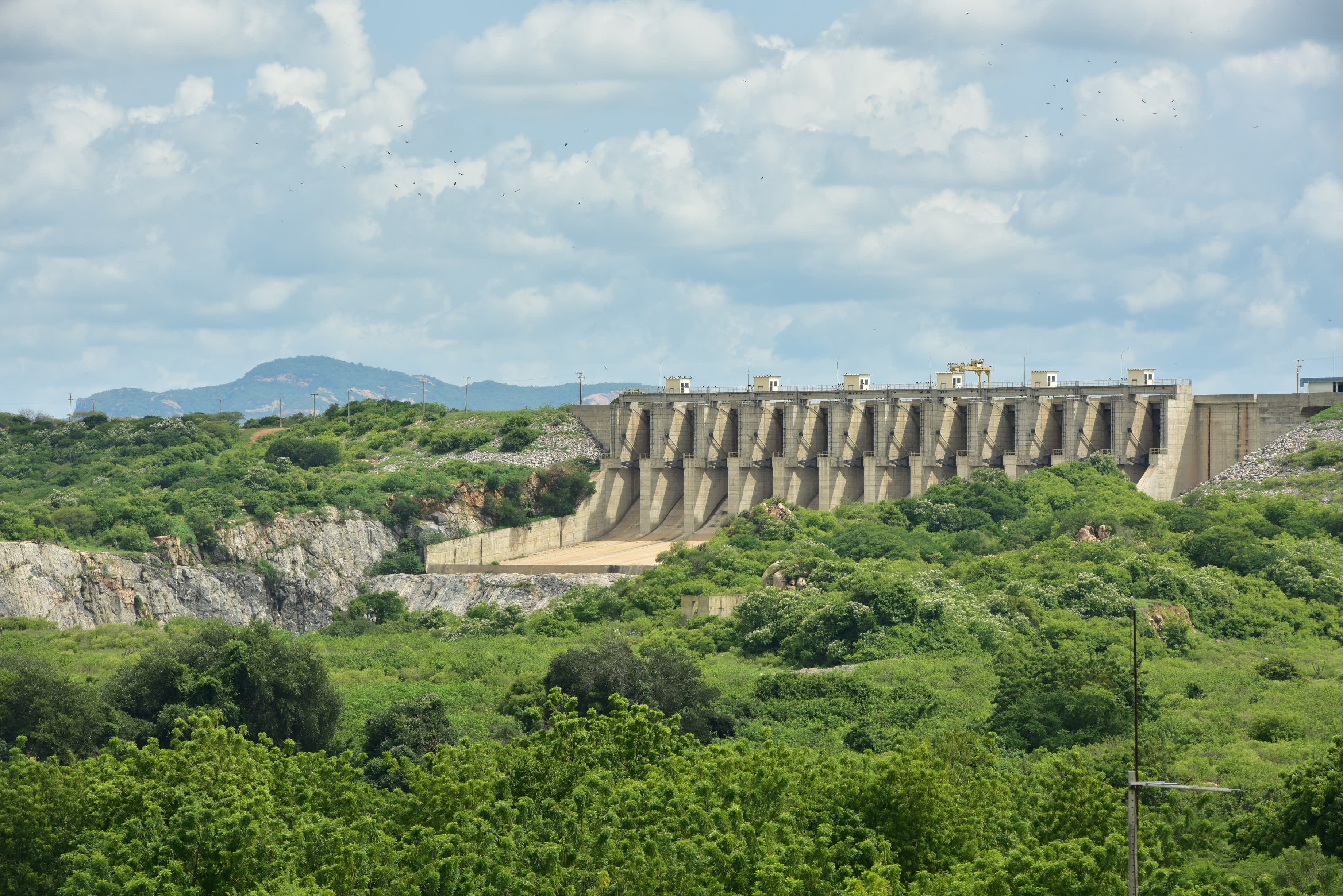 No Vale do Jaguaribe, a força da terra transforma natureza em riqueza