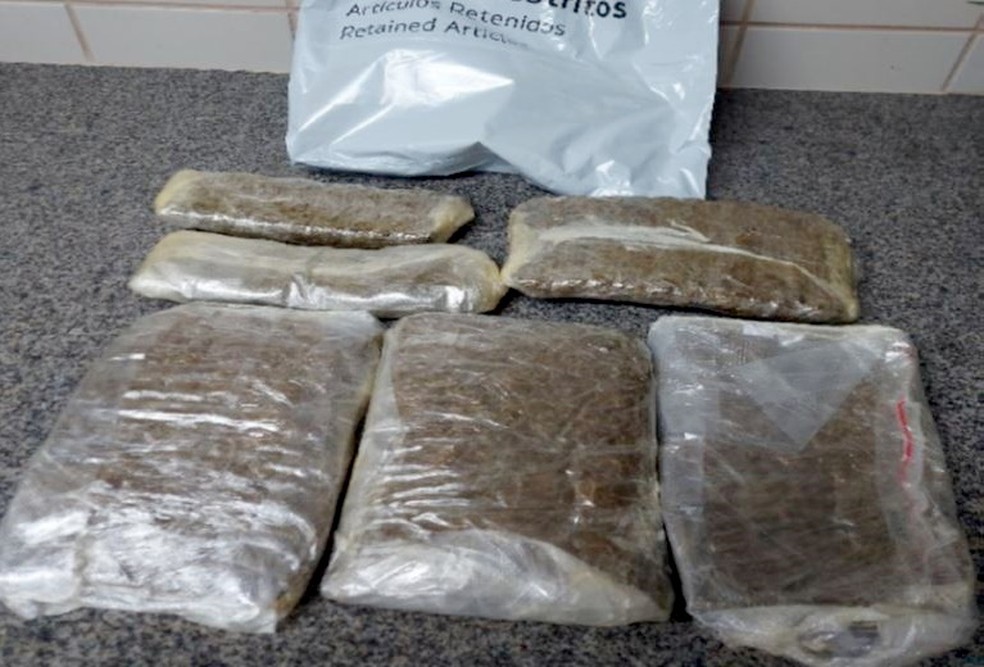 Maconha apreendida com passageira no Aeroporto de Natal — Foto: Polícia Federal/Divulgação