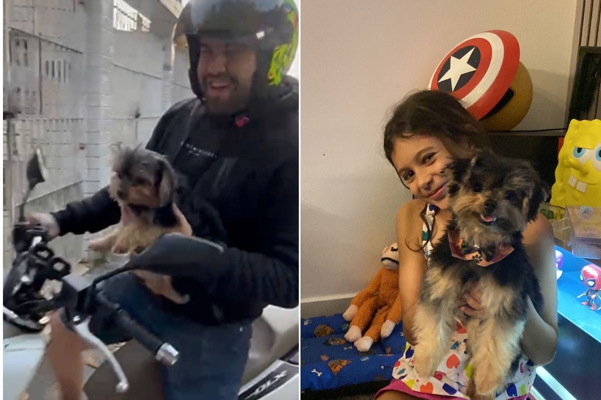 Cão furtado por criança é devolvido à família 'muito assustado', diz tutora; VÍDEO