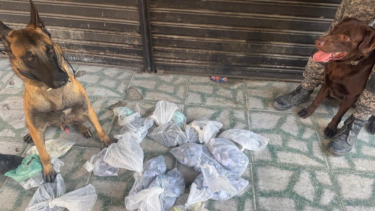 Operação conjunta das polícias Civil e Militar mira avanço do Comando Vermelho na Zona Sudoeste do Rio