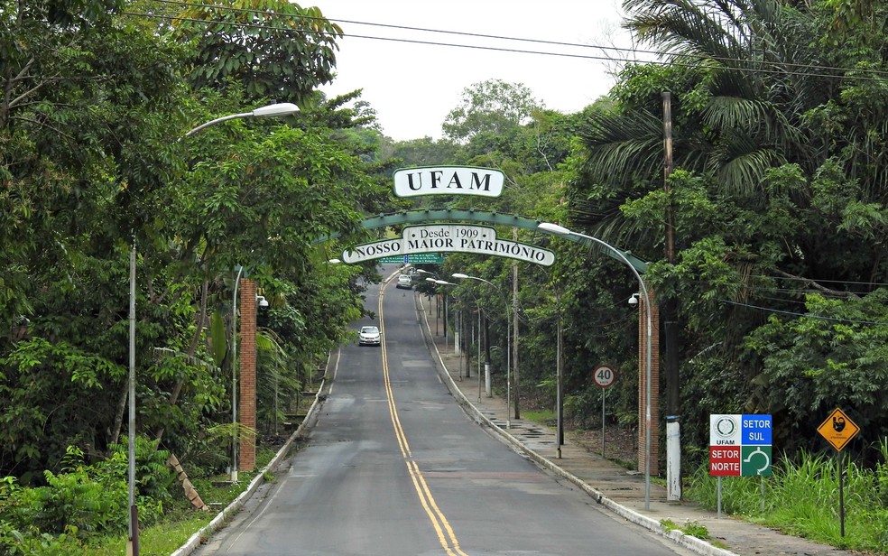 Universidade Federal do Amazonas fica em área de floresta urbana — Foto: Adneison Severiano/G1 AM