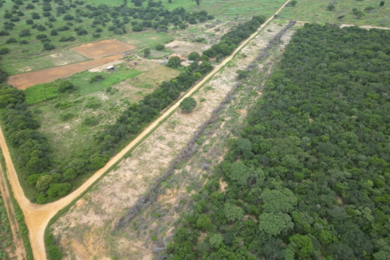 Operação Caatinga Resiste aplica mais de R$ 20 milhões em multas no Norte de MG
