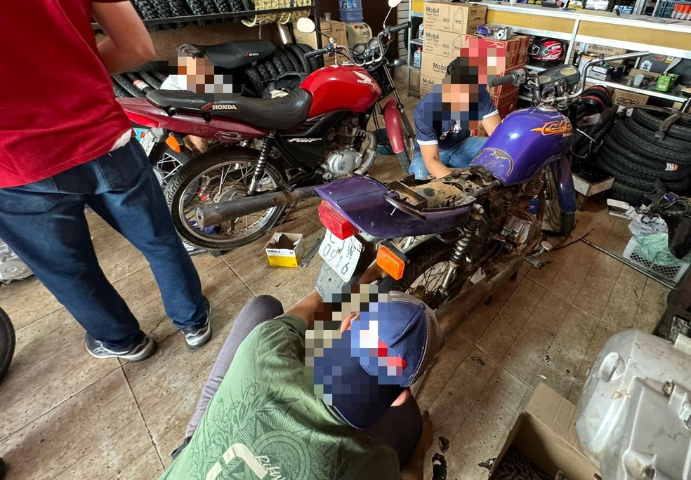 Polícia encontra veículos e peças roubadas sendo vendidos em lojas de cidades do Sul do Piauí — Foto: Divulgação/Polícia Civil