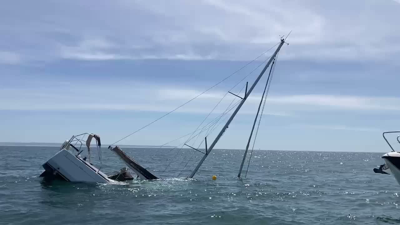 Orcas afundam veleiro na costa de Portugal; veja VÍDEO