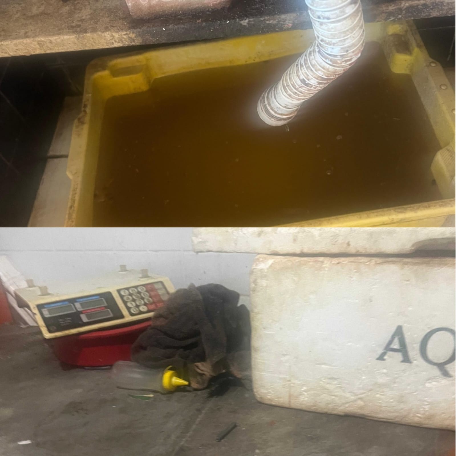 Vigilância Sanitária interdita Balança de Peixe da Ponta Verde por ferrugem e sujeira