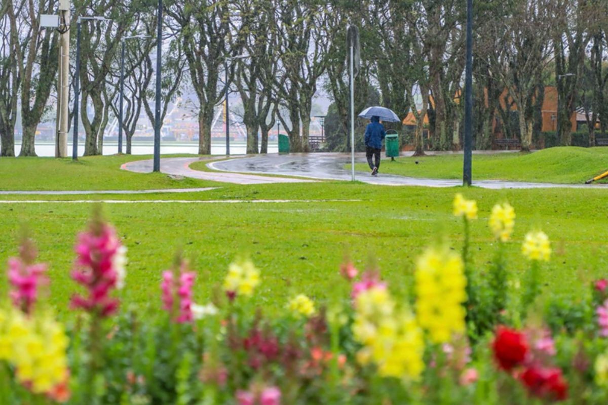 Chuva em 40% dos dias em 2025: Entenda por que chove tanto em Curitiba
