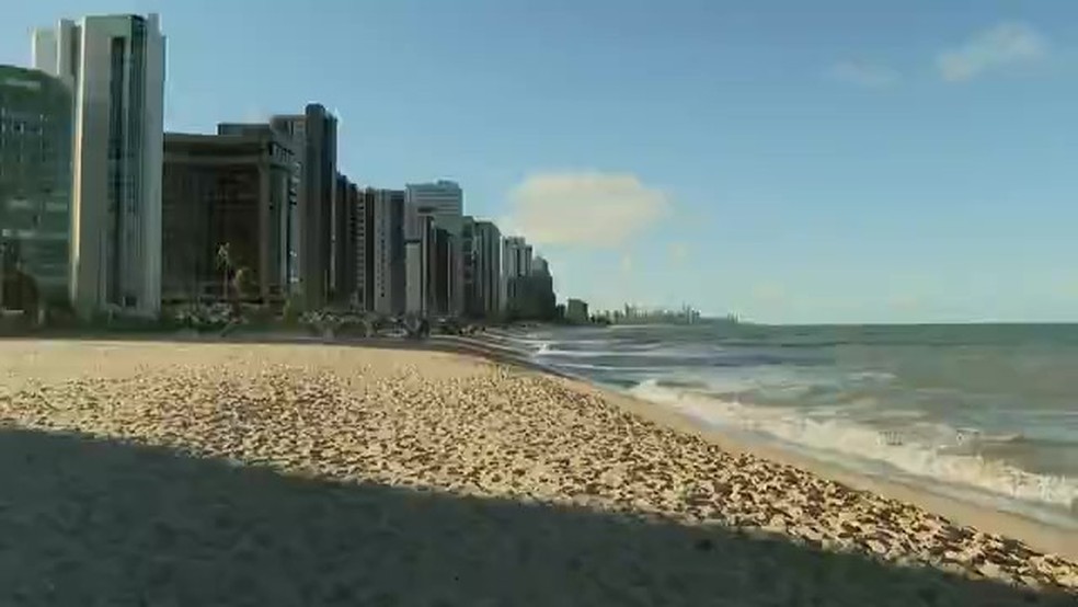 Detalhes exclusivos sobre os ataques de tubarão no litoral de Pernambuco, que deixaram um menino e uma jovem gravemente feridos. — Foto: Reprodução/TV Globo