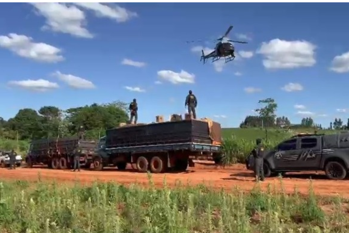 Polícia descobre R$ 12 milhões em agrotóxicos e cigarros ilegais escondidos em caminhões em MS