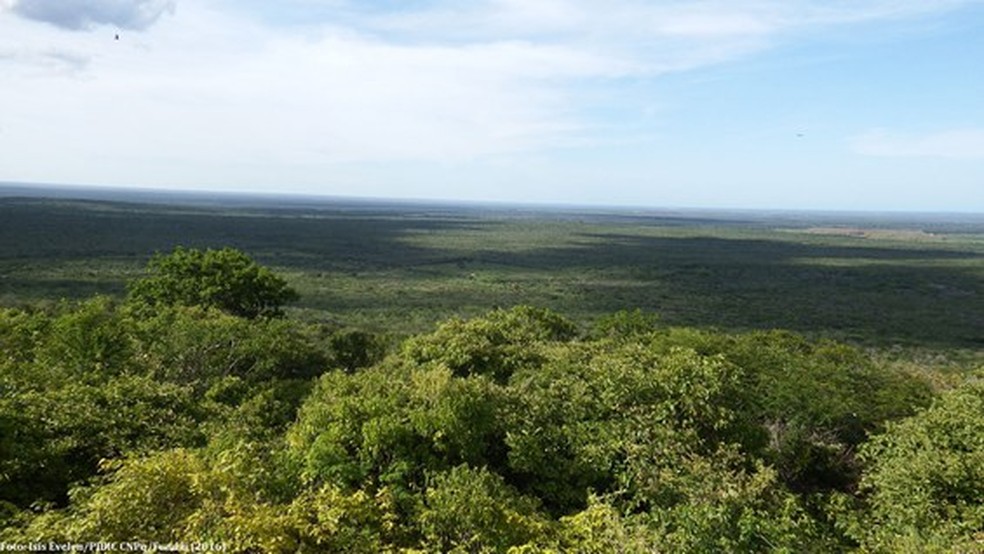 Vista panorâmica do Parque Nacional Furna Feia — Foto: Isis Evelen/ICMBio/Divulgação
