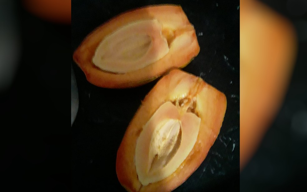 Morador registra mamão que nasceu com outro mamão dentro, em