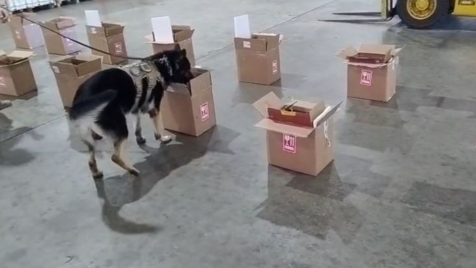 Carga com cocaína diluída em vinho é apreendida pela PF no aeroporto de Fortaleza