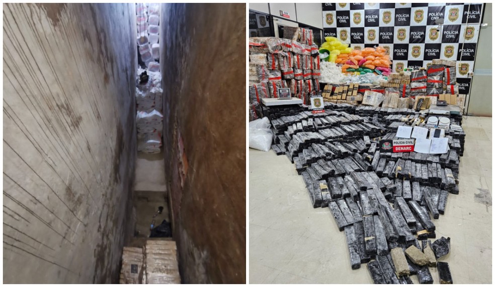 Drogas apreendidas em operação da polícia em SP — Foto: Divulgação/Denarc 