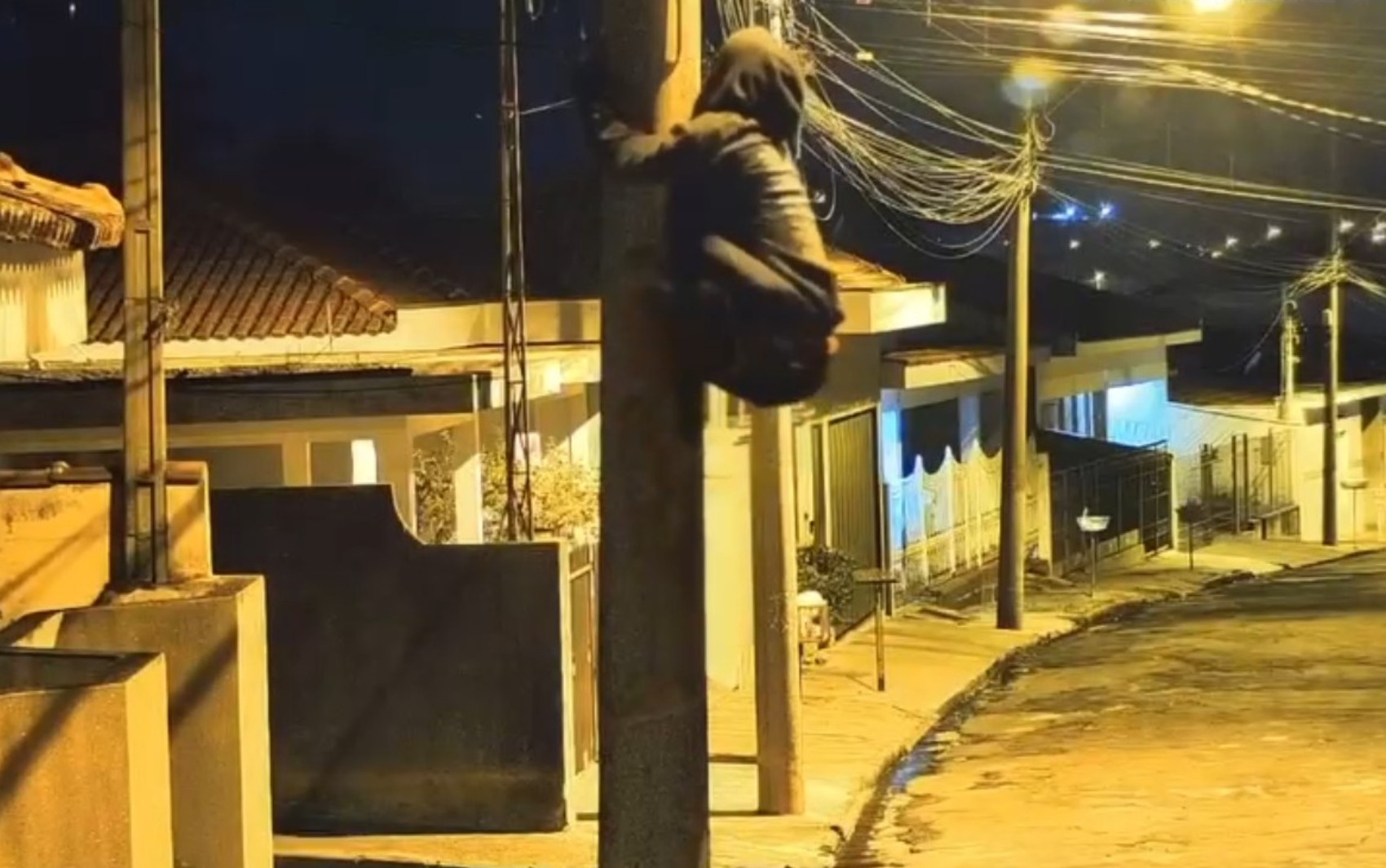 Ladrão escala poste de 4 metros em 15 segundos e furta cabos no interior de SP; vídeo