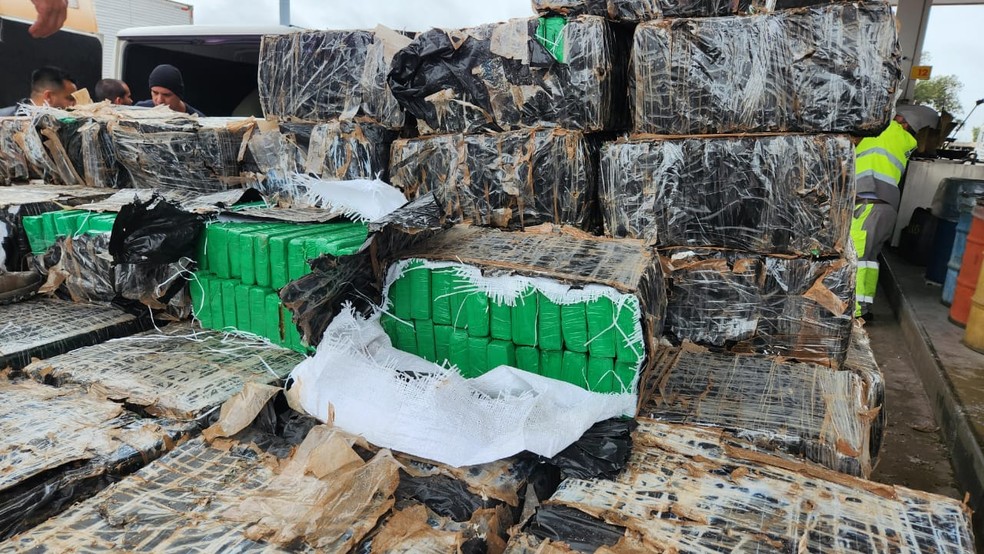 Mais de cinco toneladas de maconha foram apreendidas em Estrela do Norte (SP) — Foto: Leonardo Bosisio/g1