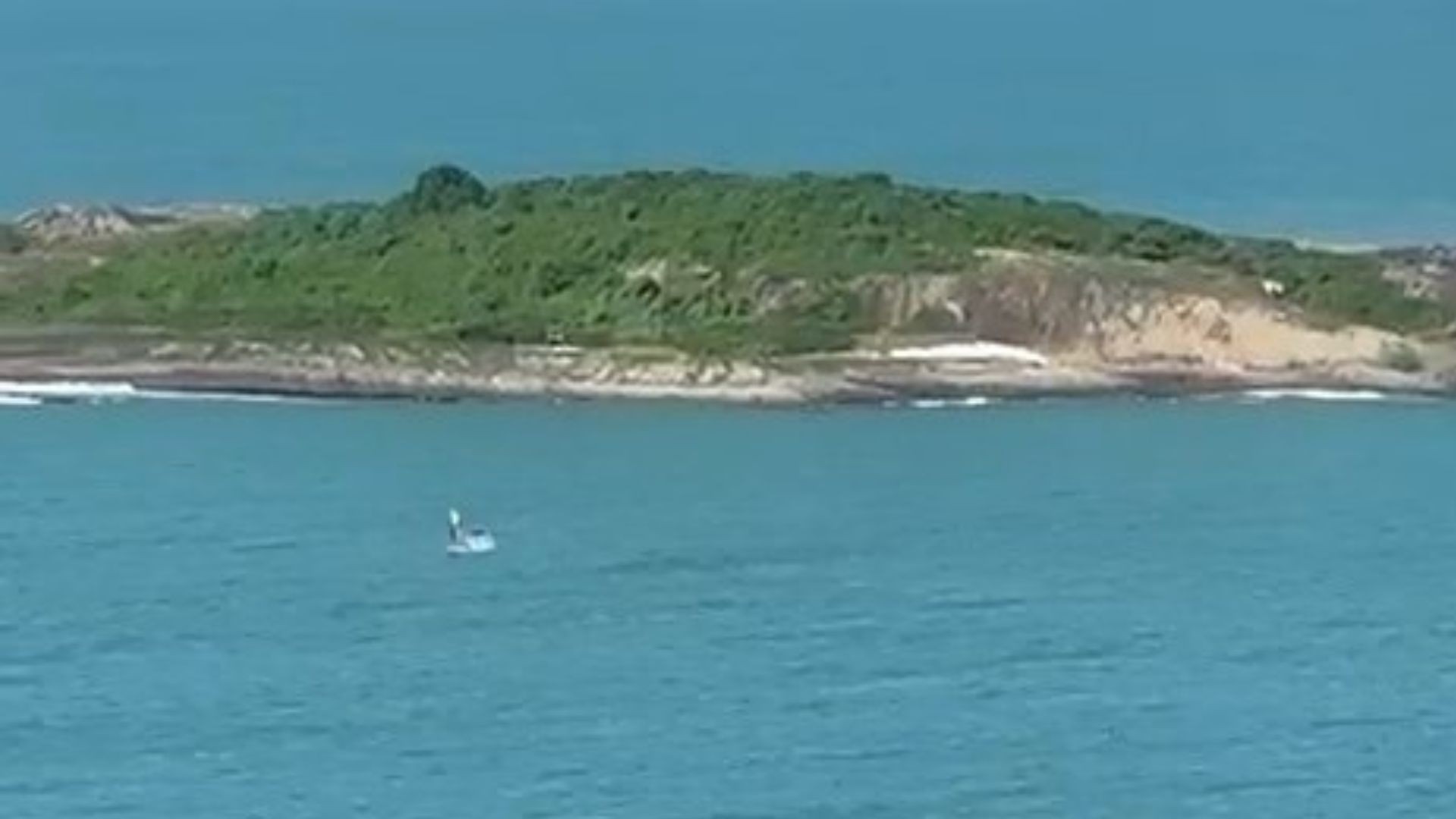 VÍDEO: baleia jubarte é vista em praia de Vila Velha e marca início da temporada 2025 no litoral do ES
