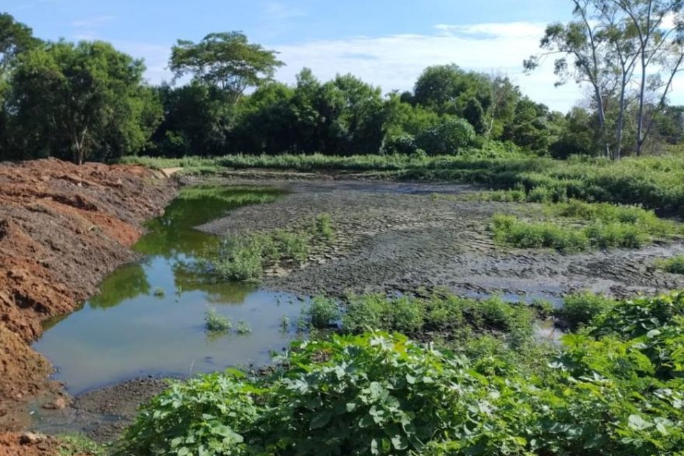 Área embargada passará por um Plano de Recuperação de Áreas Degradadas (PRAD) — Foto: Sema-MT