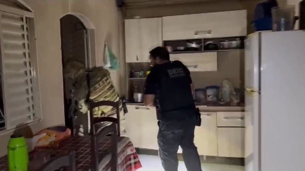 Operação cumpre mandados de prisão em Goiás e mais cinco estados contra grupo suspeito de fraudes de mais de R$ 30 milhões em pagamentos judiciais — Foto: Divulgação/PC-GO