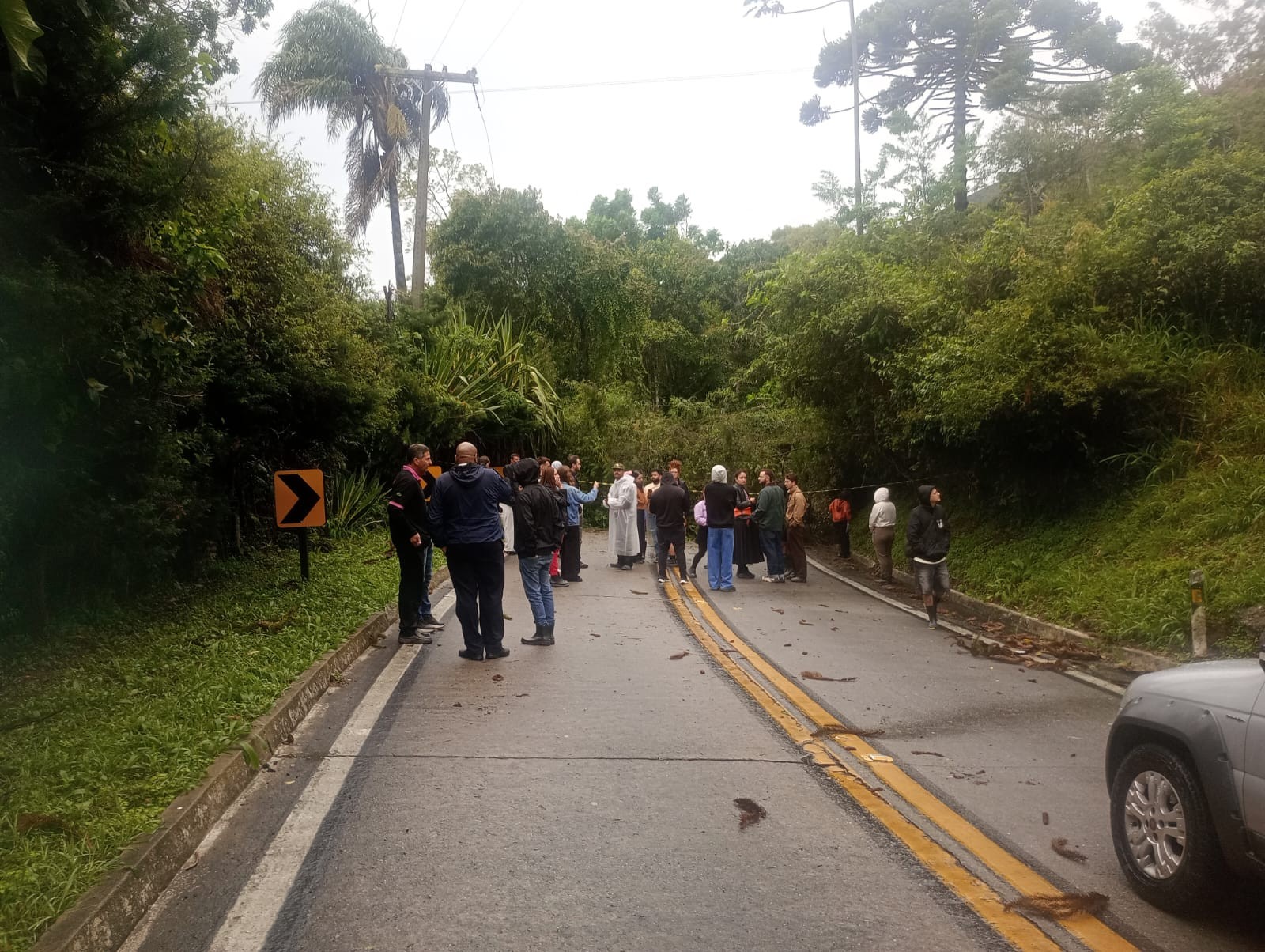 Ventos fortes provocam queda de árvores e interditam rodovias na Região Serrana do RJ