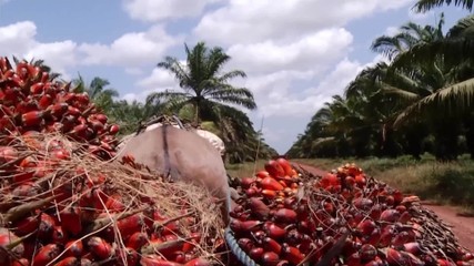 VÍDEOS: JL2 de quinta-feira, 17 de setembro de 2026
