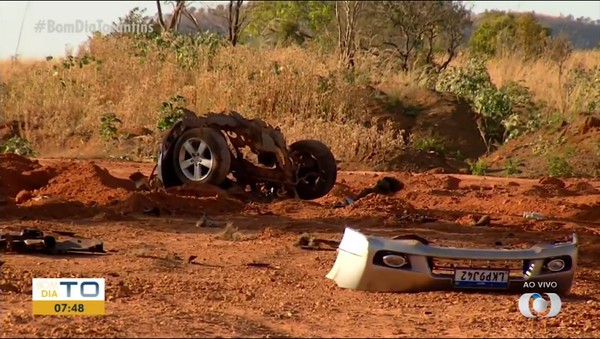 Vídeo chocante: rato gigante mata pomba após arrastá-la para debaixo de  carro - Hora 7 - R7 Hora 7