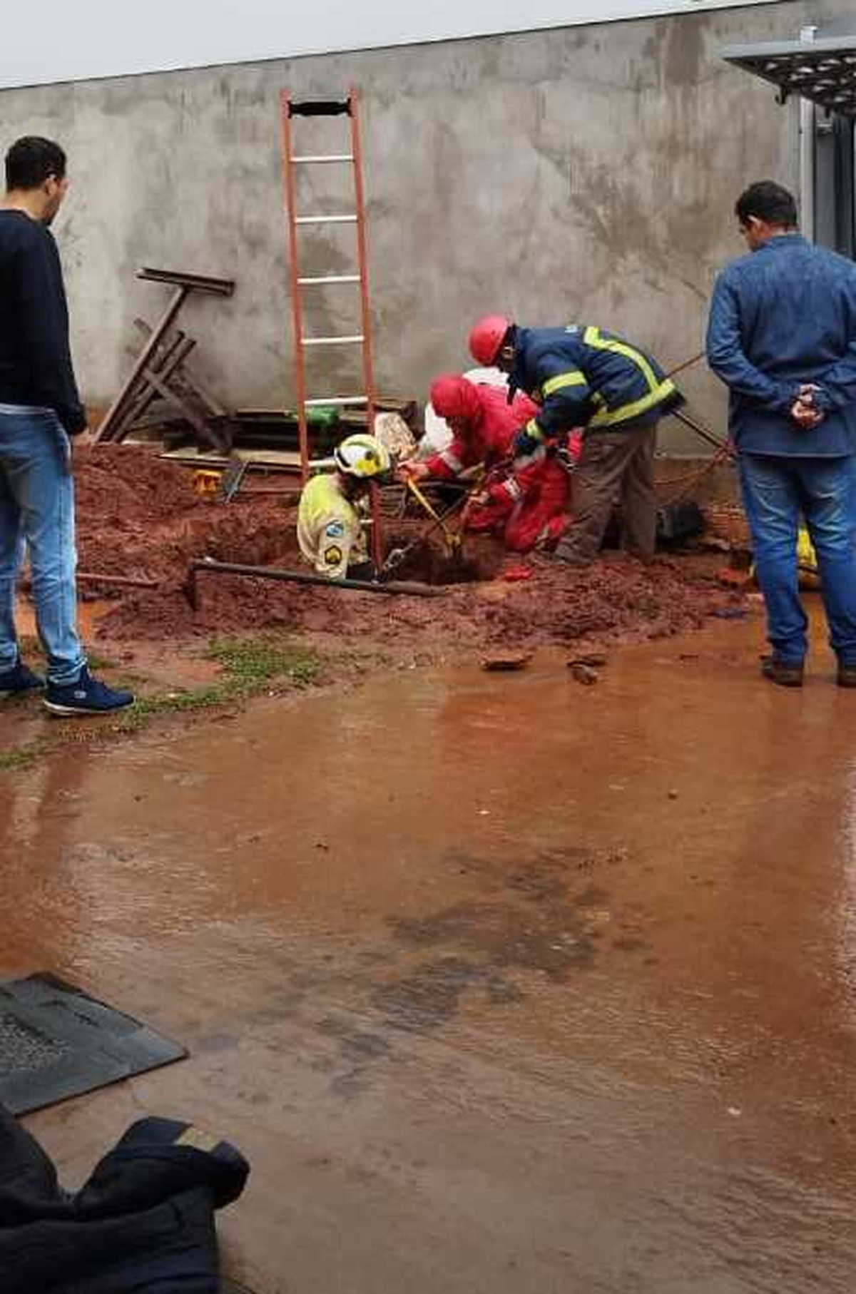 Filhote De Cachorro é Resgatado Após Cair Em Buraco De 10 Metros De Profundidade No Paraná 1261