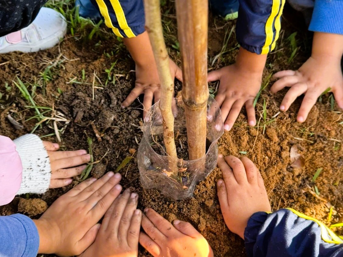 Programa de Arborização fortalece áreas verdes com mais de 600 mudas plantadas