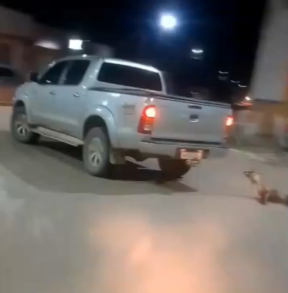 Motorista é flagrado arrastando cachorro amarrado a caminhonete em Redenção, no Pará