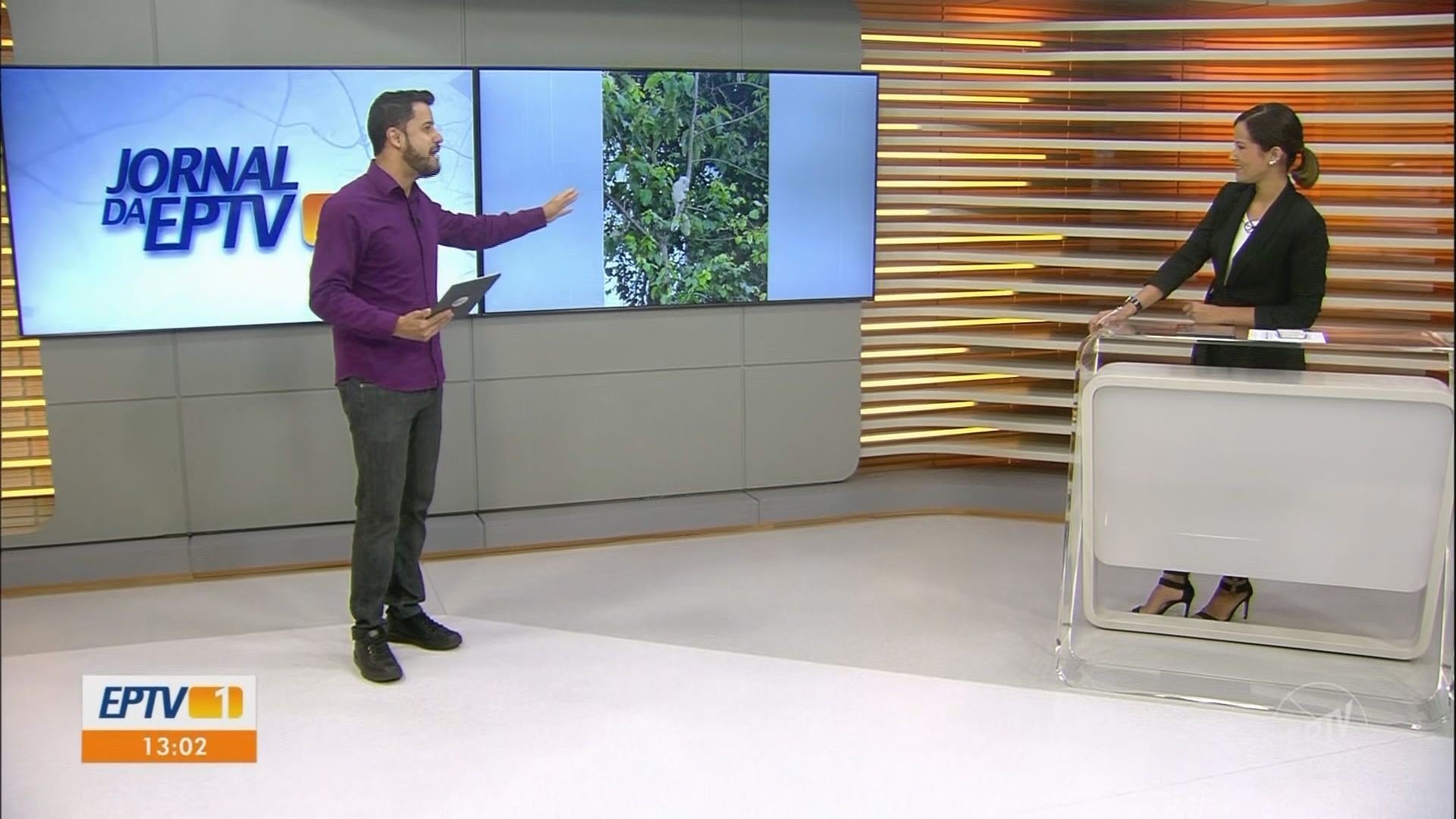 VÍDEOS: EPTV 1 Sul de Minas de segunda-feira, 12 de janeiro de 2026