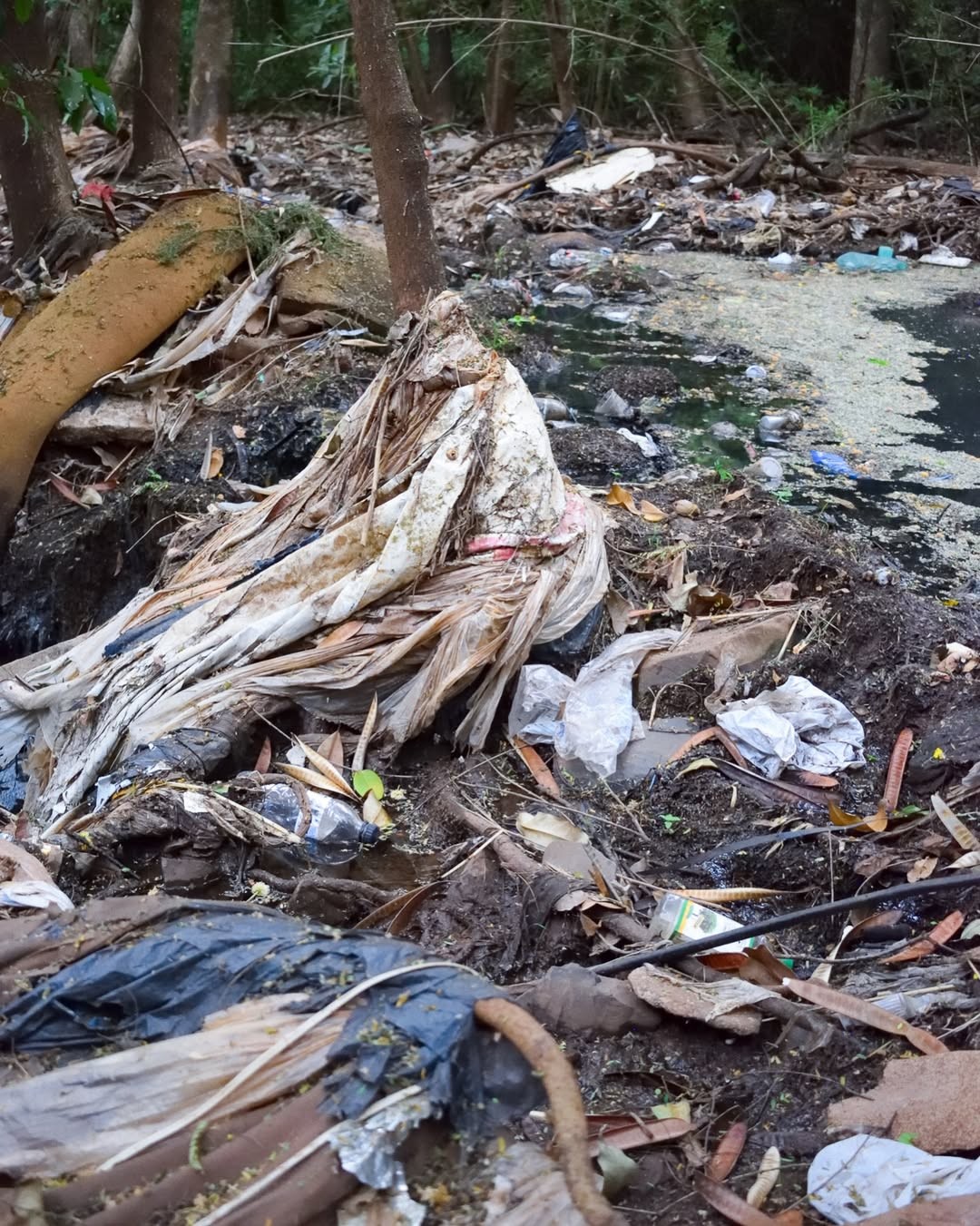 Contaminação ambiental no Parque do Sabiá é investigada em Uberlândia; 'há vazamentos pontuais', diz diretor da Futel