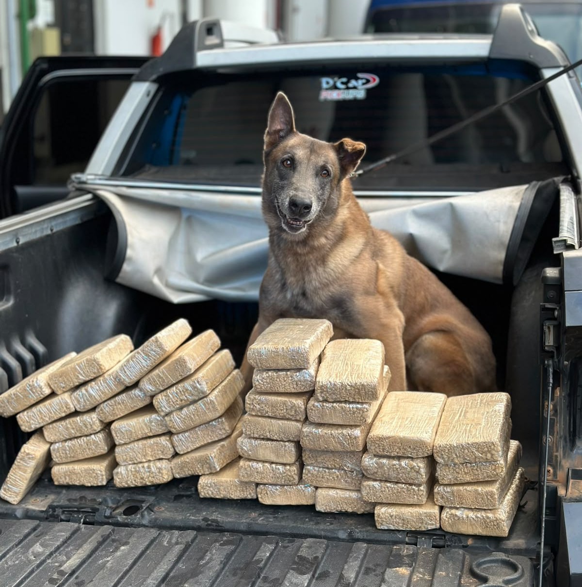 Homem é preso com 40 kg de pasta base de cocaína na Via Dutra, em Piraí