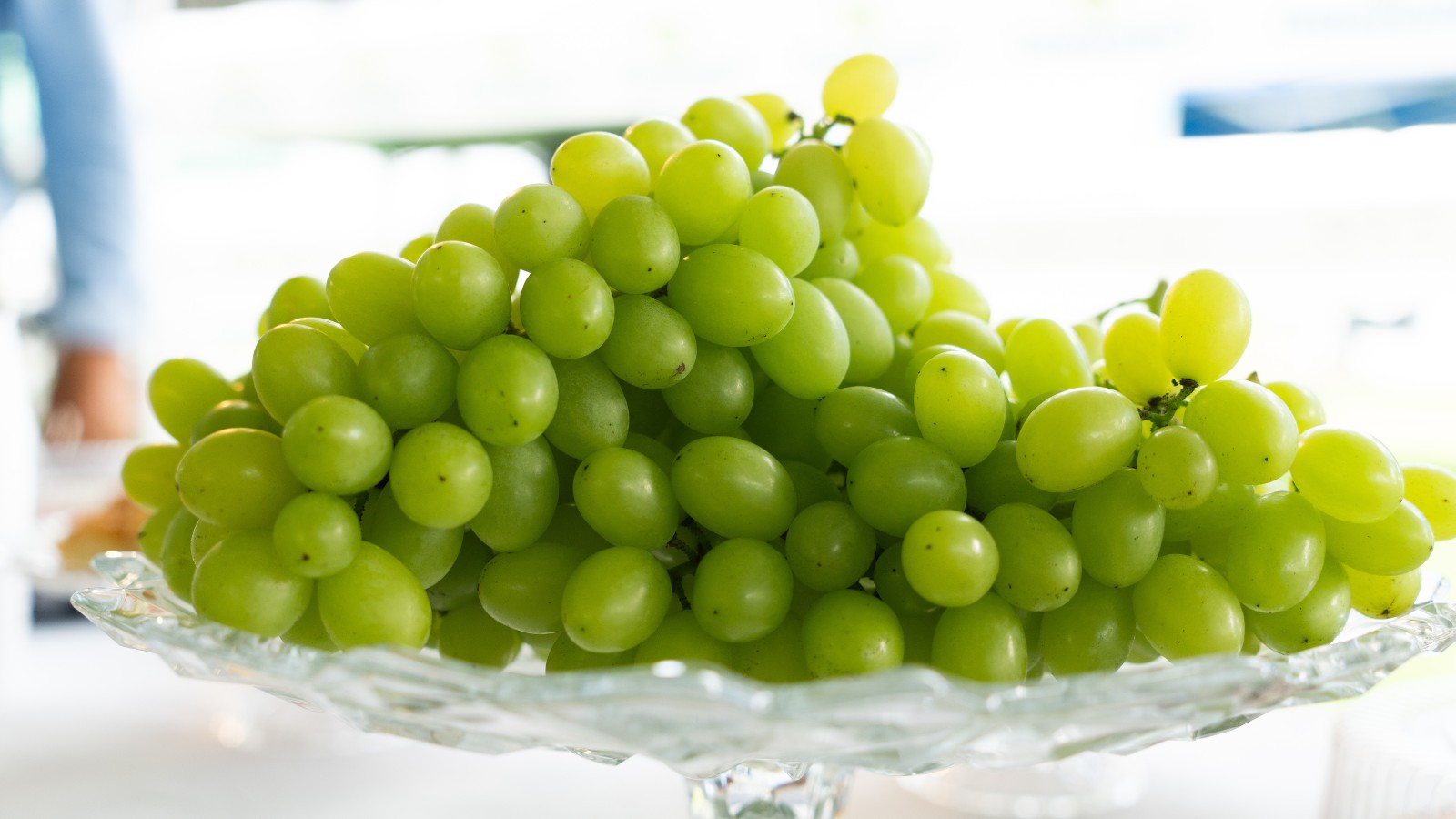 Produtor deve ficar atento às vias de contaminação por bactérias na fruticultura