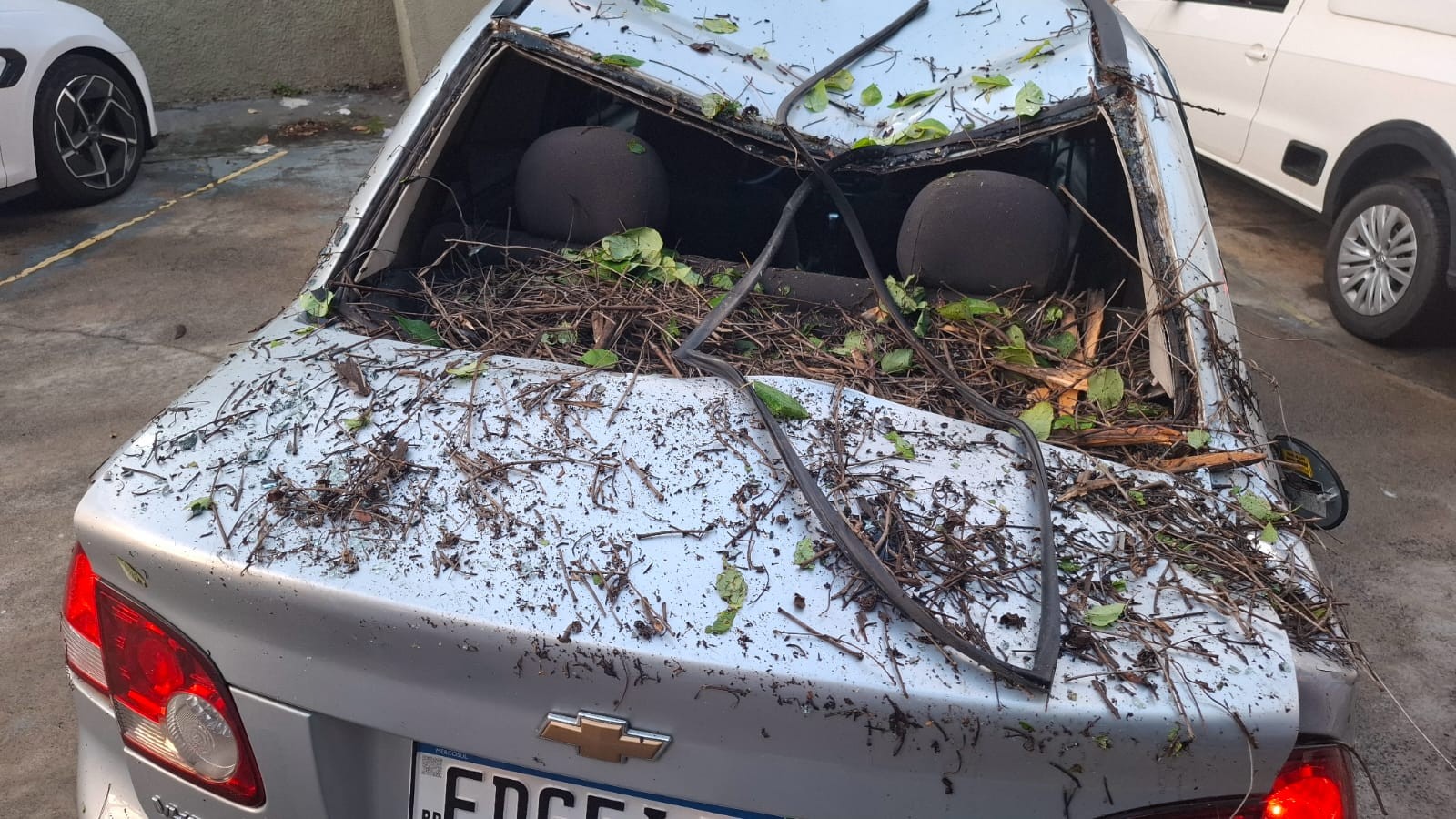 Galho de árvore cai e atinge carro ao lado do Bosque dos Jequitibás, em Campinas