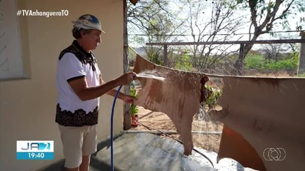 Confira os destaques do Globo Rural deste domingo (22)