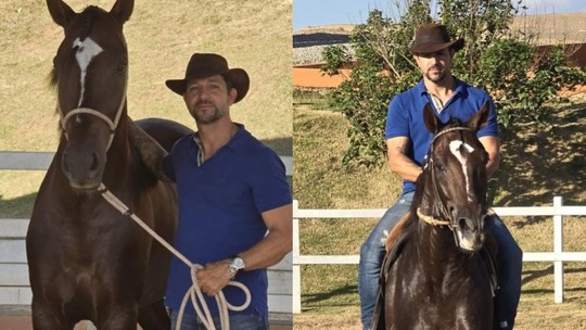 Dourado, Elétric e Quantum: conheça alguns dos cavalos que morreram após comer ração contaminada - Pelo menos 245 equinos não resistiram em Minas Gerais, São Paulo, Rio de Janeiro e Alagoas, segundo o Ministério da Agricultura. 